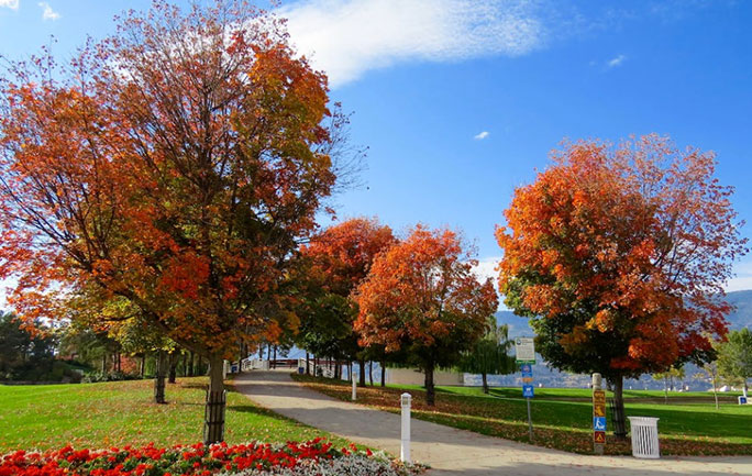 Parks