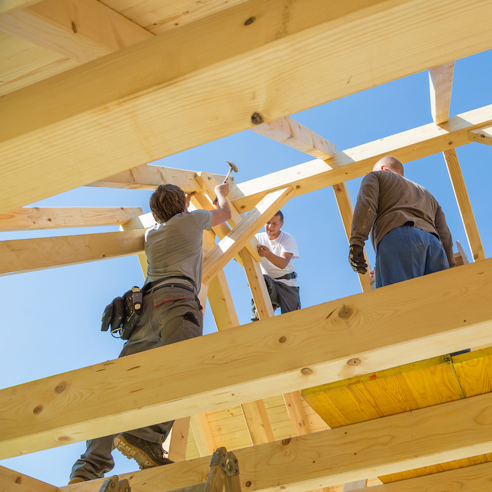 Carpenters building a house