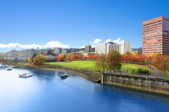 Cityscape With Lake in Portland