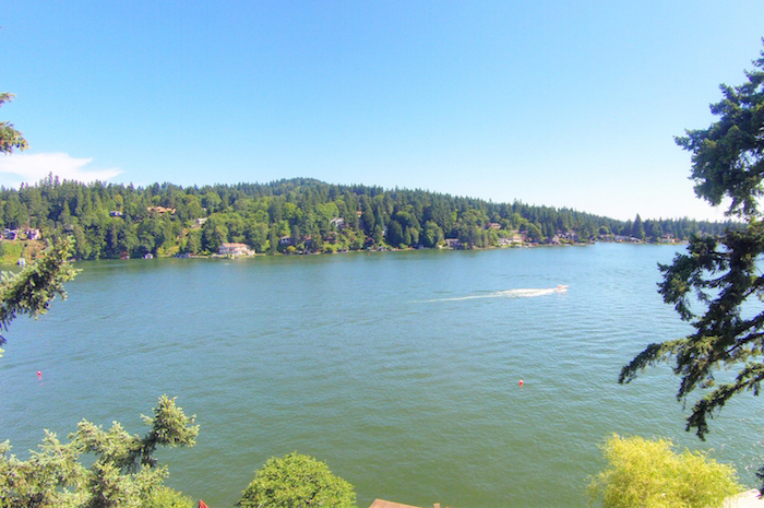 Aerial View of Lake Oswego